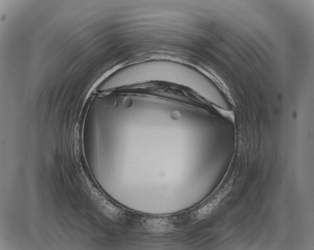 X0000083660798200703051750