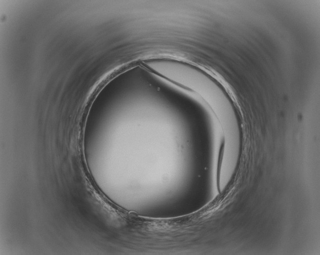 X0000083660799200703051750