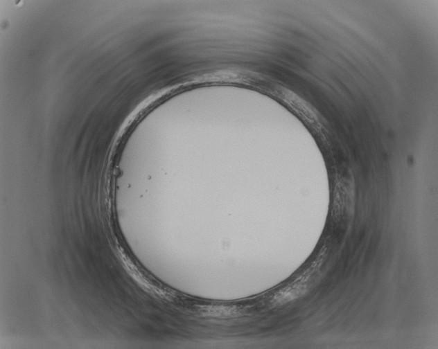 X0000083660800200703051750