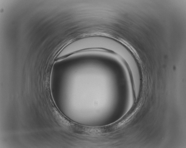 X0000083660801200703051750