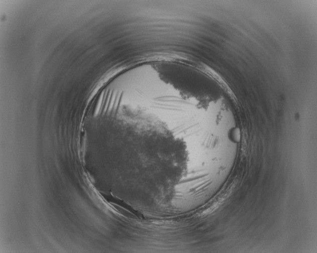 X0000083660802200703051750