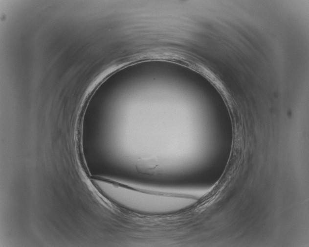 X0000083660803200703051750