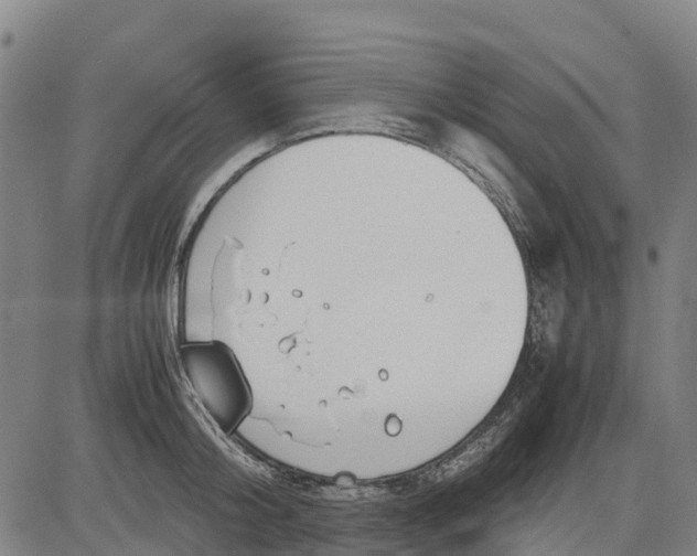 X0000083660804200703051750