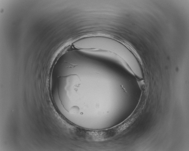 X0000083660805200703051750