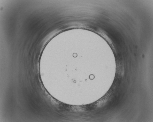 X0000083660807200703051750