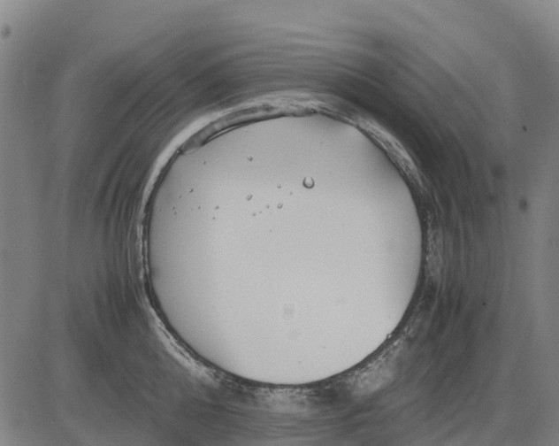 X0000083660808200703051750