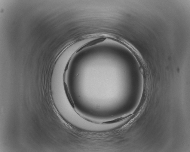 X0000083660809200703051750