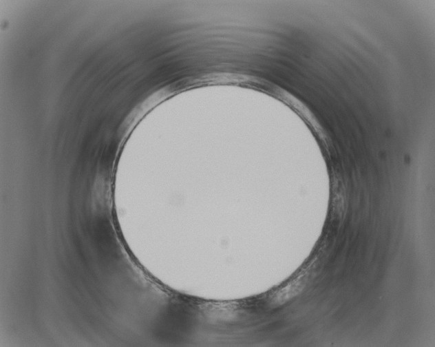 X0000083660810200703051750