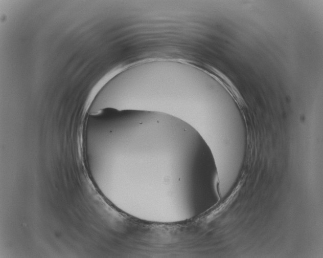 X0000083660812200703051750