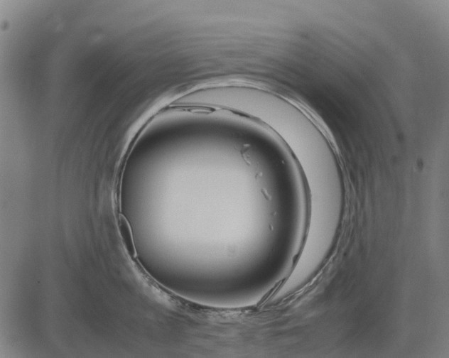 X0000083660813200703051750