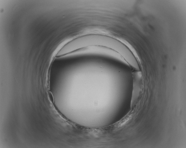 X0000083660815200703051750