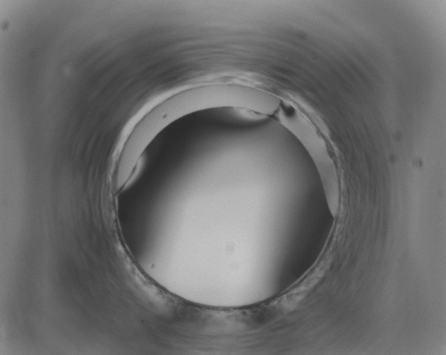 X0000083660816200703051750