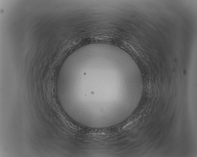 X0000083660817200703051749