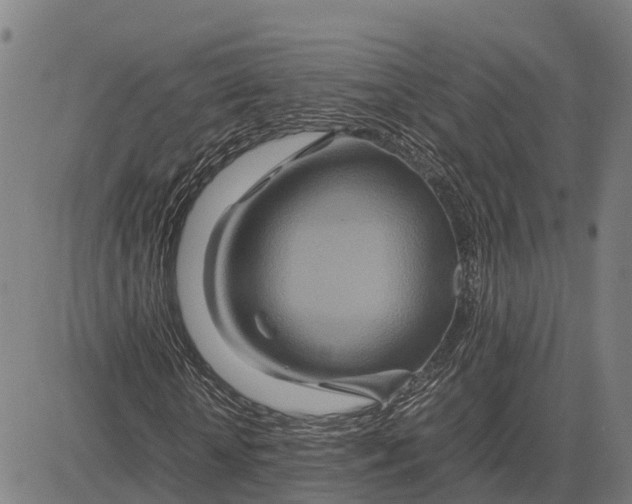 X0000083660818200703051749