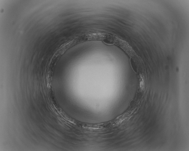 X0000083660819200703051749