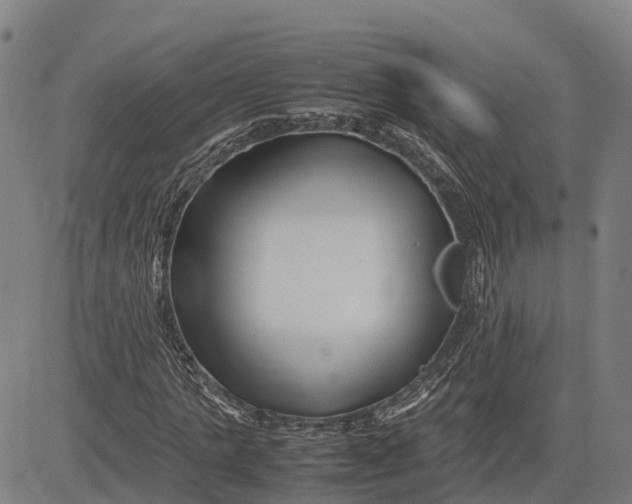 X0000083660821200703051749