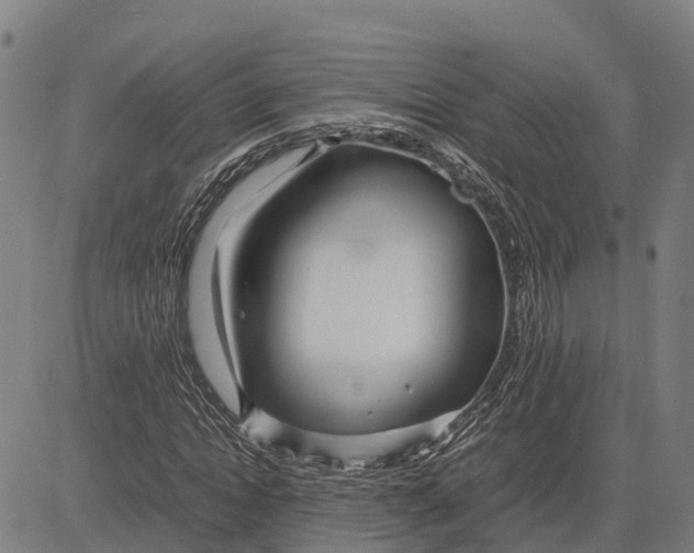 X0000083660822200703051749