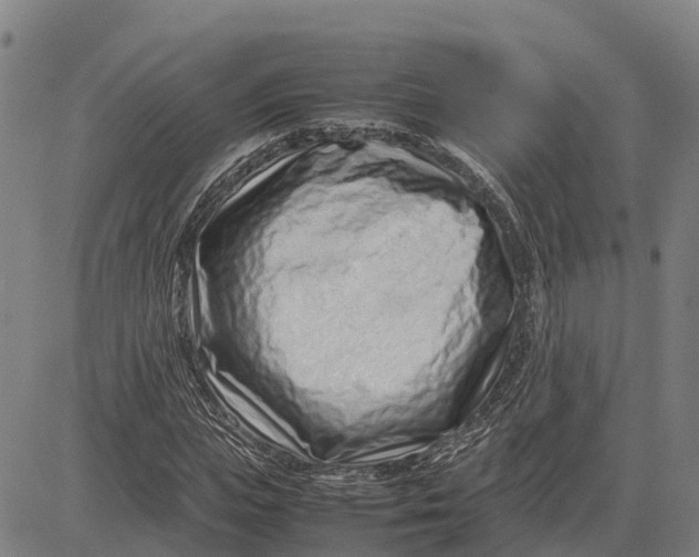 X0000083660823200703051749