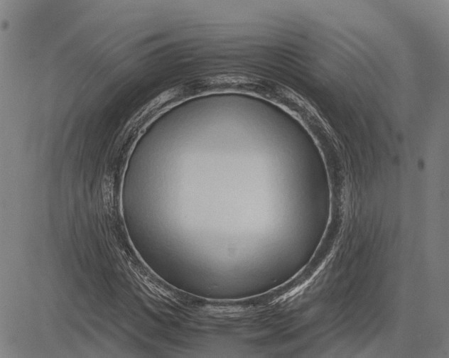 X0000083660825200703051749