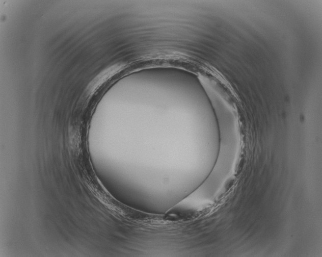 X0000083660826200703051749