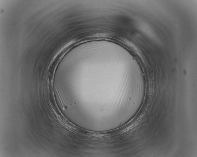 X0000083660827200703051749