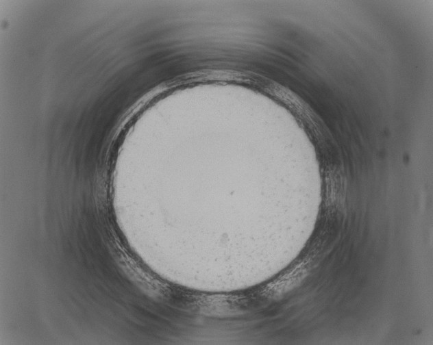 X0000083660828200703051749