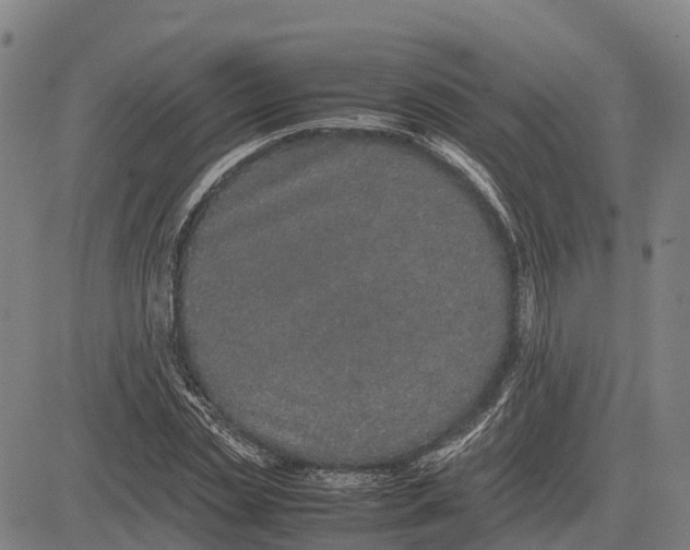 X0000083660829200703051749