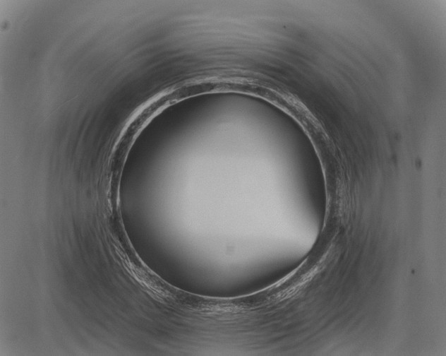 X0000083660830200703051749