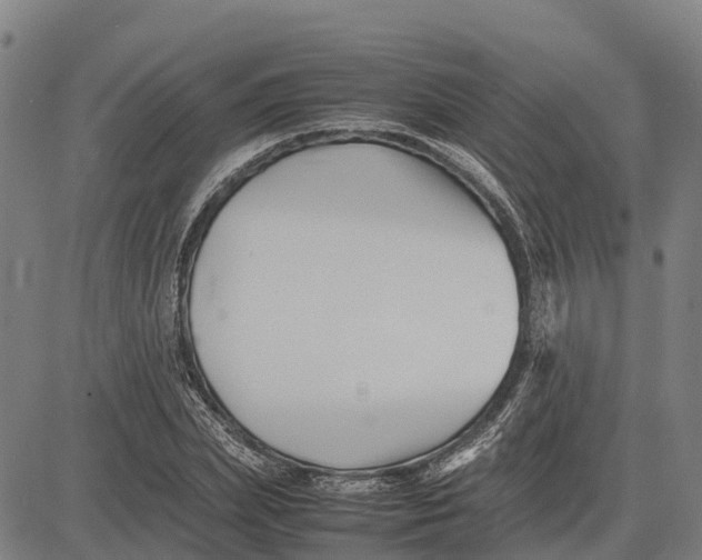 X0000083660831200703051749