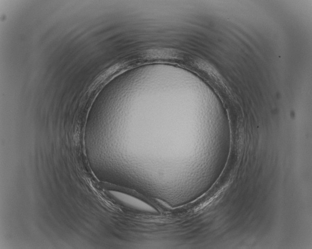 X0000083660833200703051749