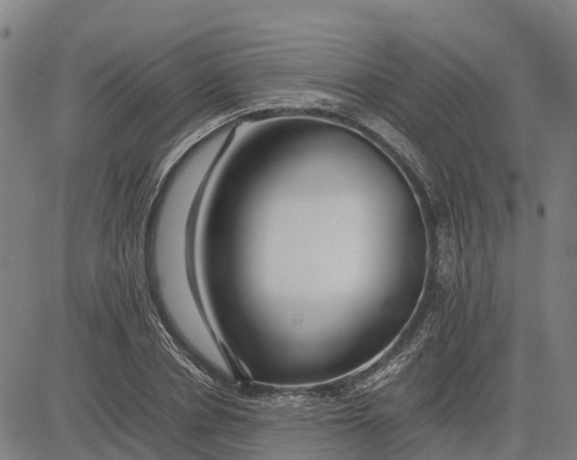 X0000083660834200703051750