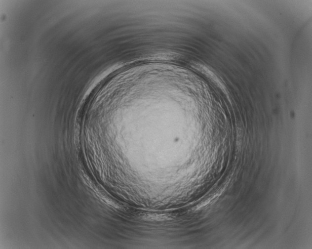 X0000083660835200703051750