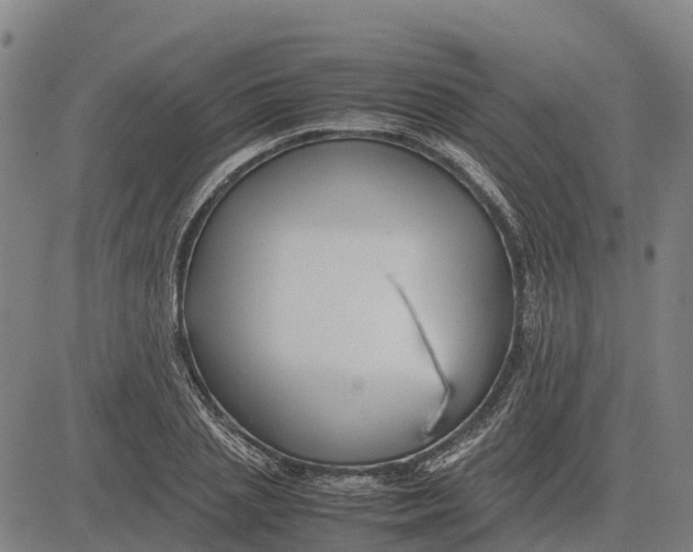 X0000083660837200703051750