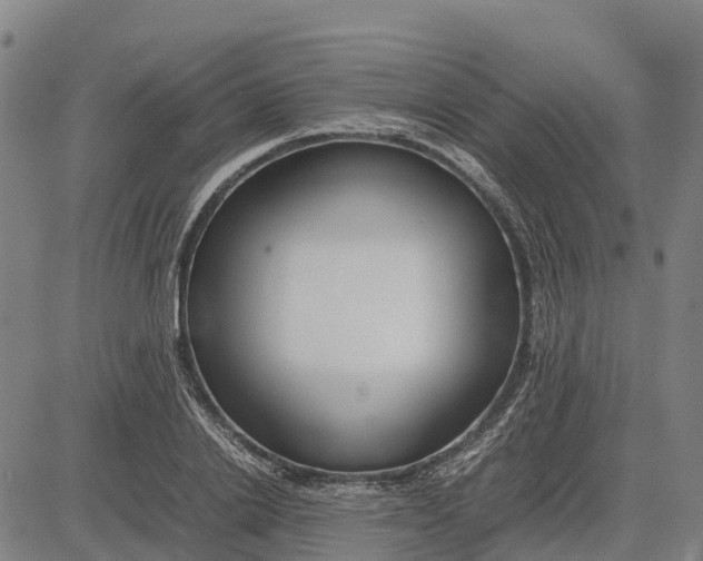 X0000083660838200703051750