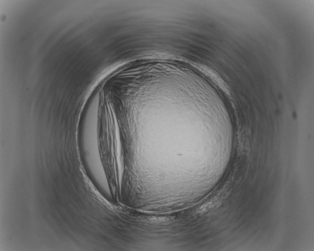 X0000083660839200703051750