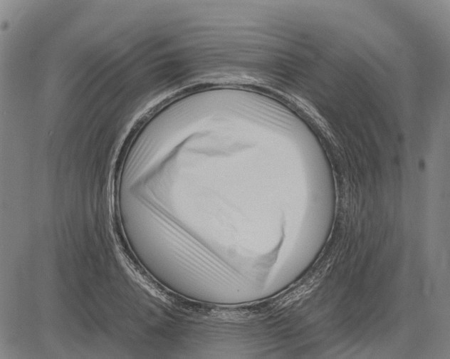 X0000083660840200703051750