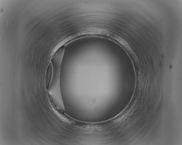 X0000083660842200703051750