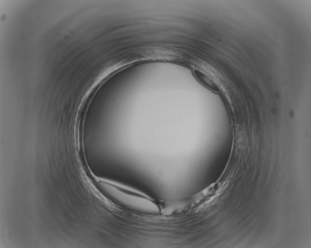 X0000083660843200703051750