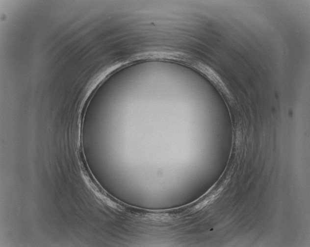 X0000083660844200703051750