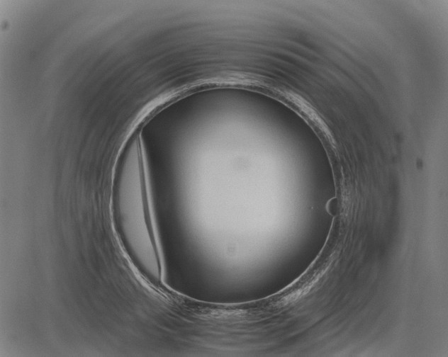 X0000083660845200703051750