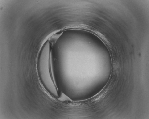 X0000083660846200703051750