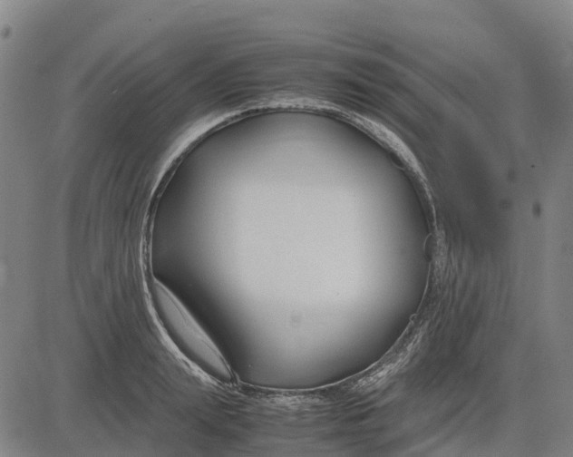 X0000083660847200703051750