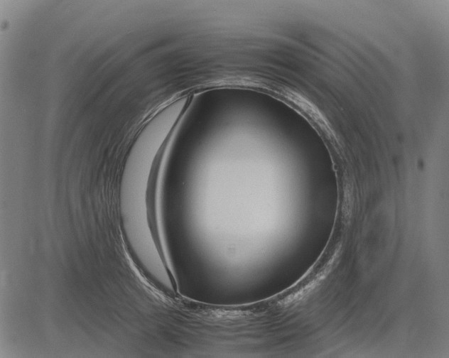 X0000083660849200703051750