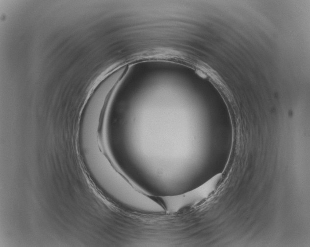 X0000083660850200703051750