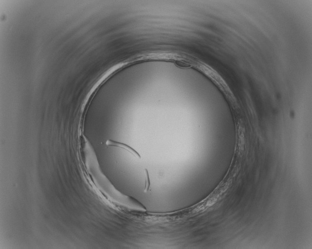 X0000083660852200703051750