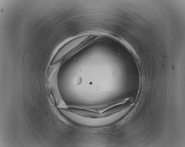 X0000083660854200703051750