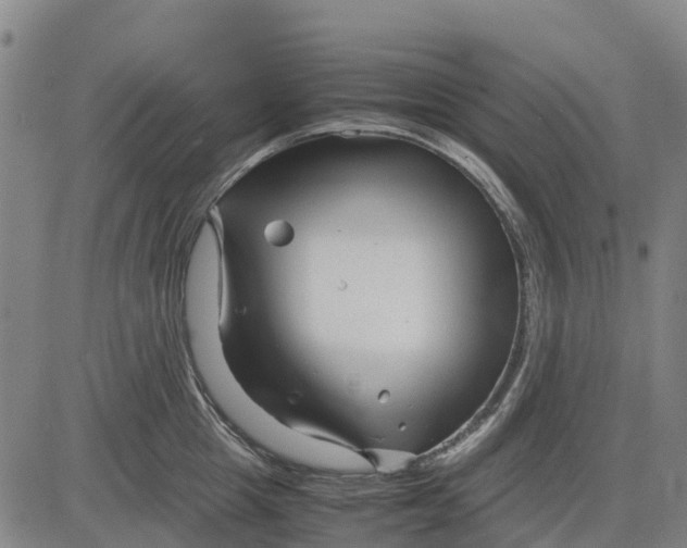 X0000083660857200703051750