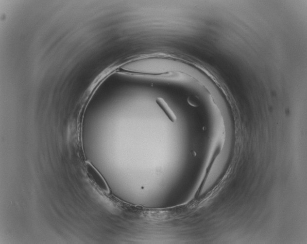 X0000083660858200703051750