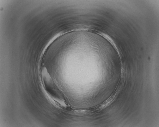 X0000083660859200703051750