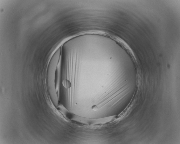 X0000083660860200703051750